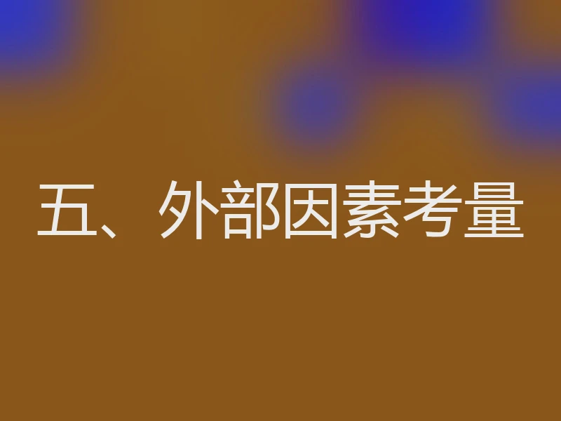 五、外部因素考量