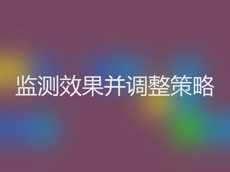 监测效果并调整策略