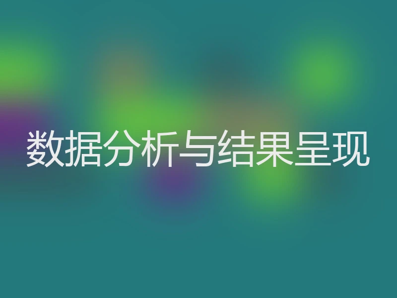 数据分析与结果呈现