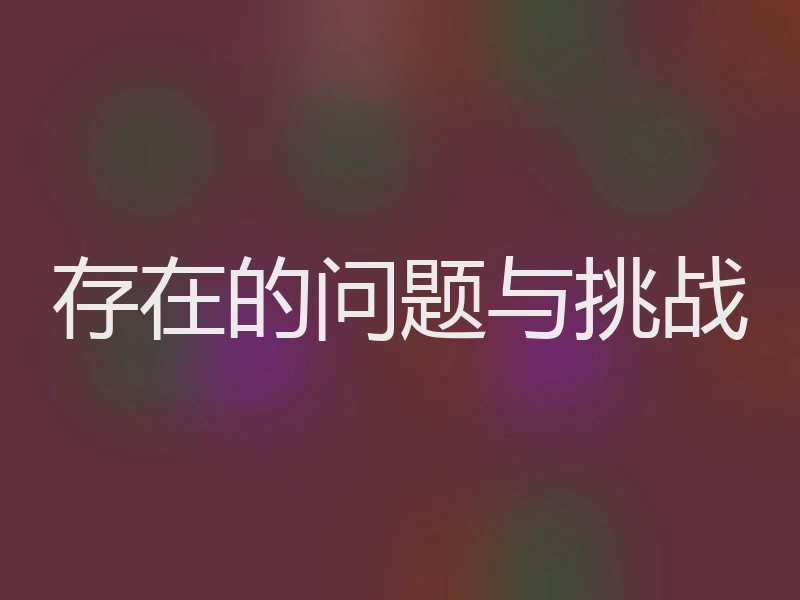 存在的问题与挑战
