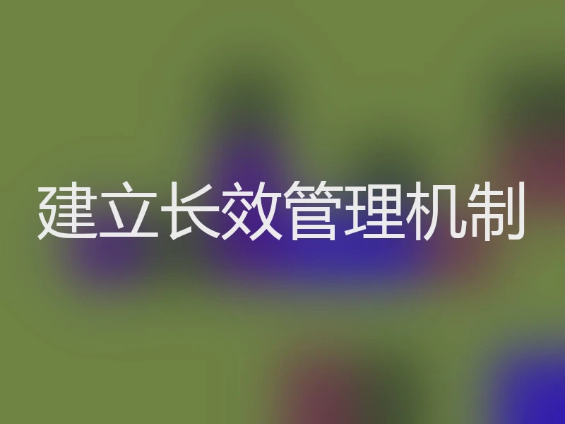 建立长效管理机制