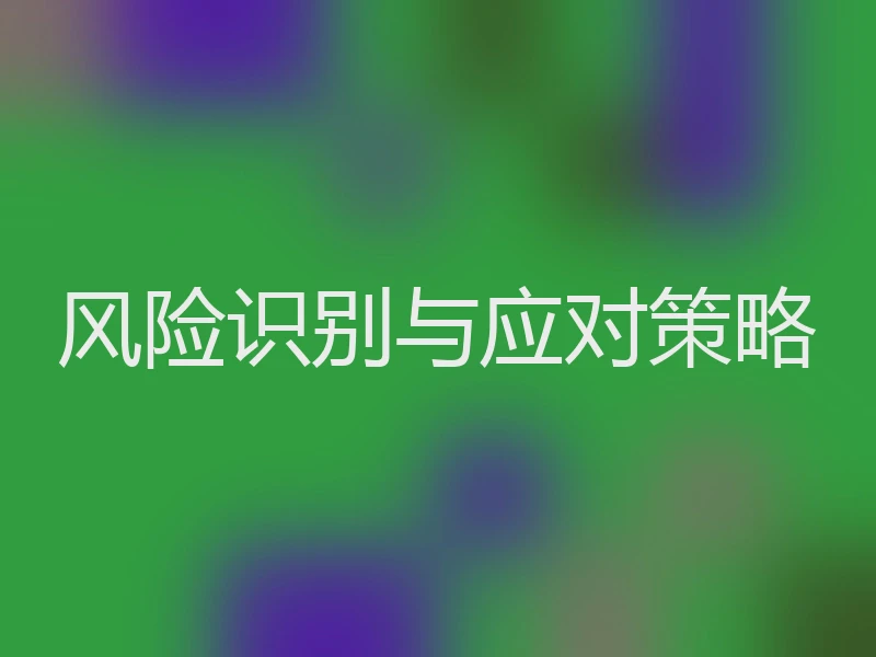 风险识别与应对策略