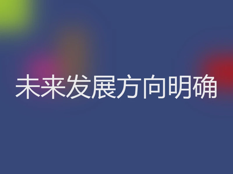 未来发展方向明确
