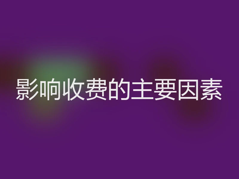影响收费的主要因素