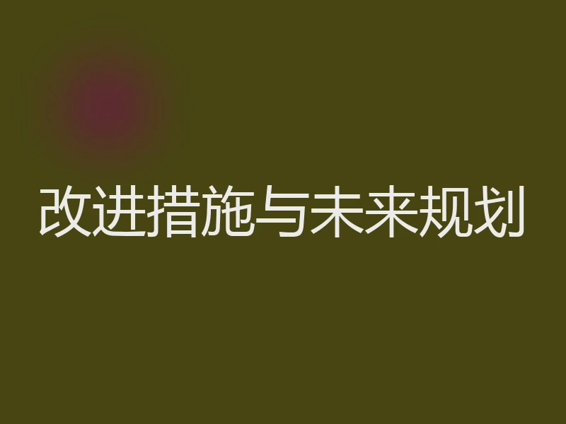 改进措施与未来规划