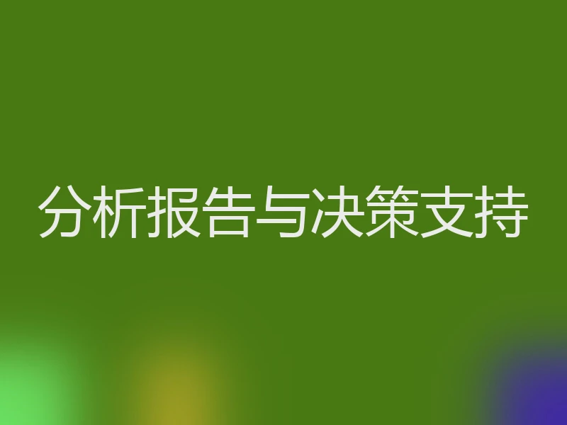 分析报告与决策支持