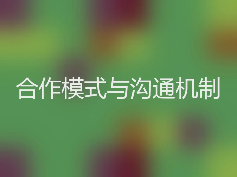 合作模式与沟通机制