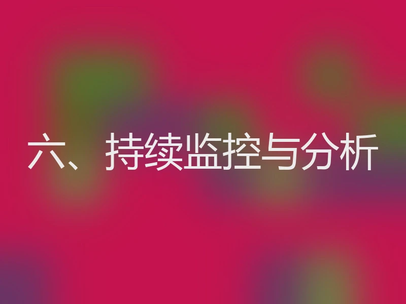 六、持续监控与分析