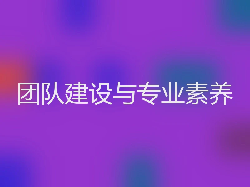 团队建设与专业素养