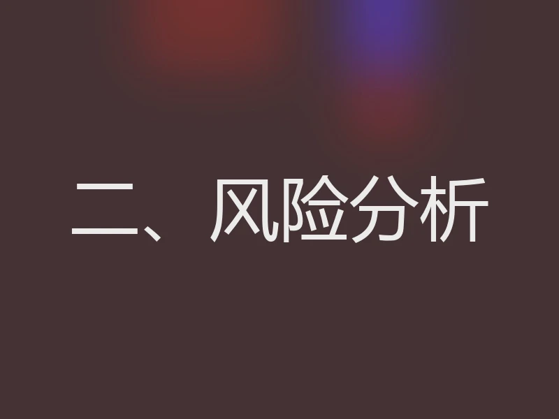 二、风险分析