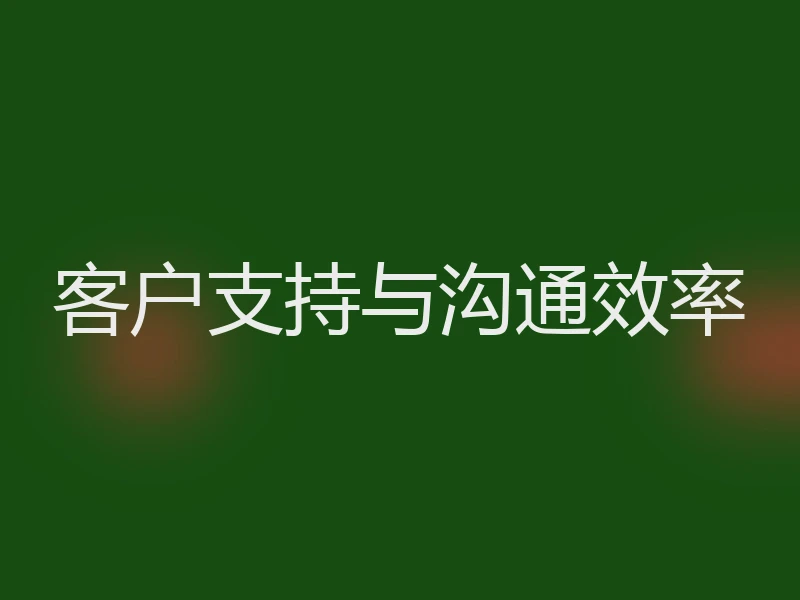 客户支持与沟通效率