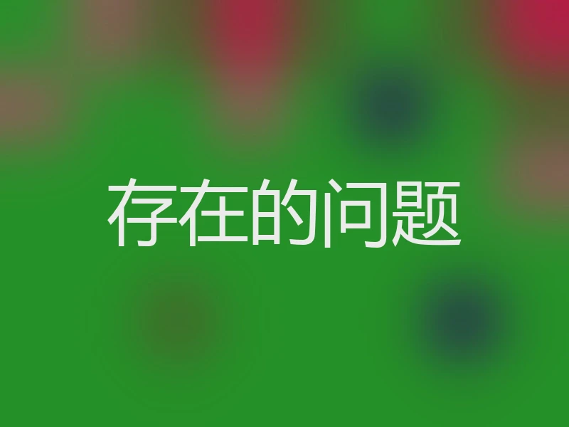 存在的问题