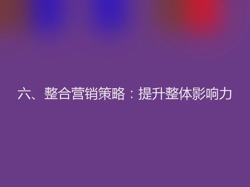六、整合营销策略:提升整体影响力