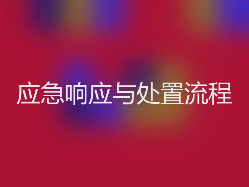 应急响应与处置流程