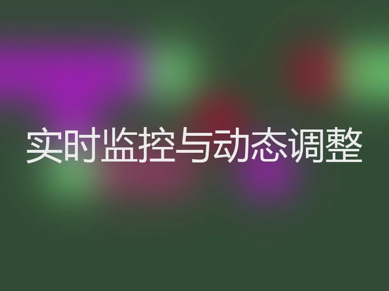 实时监控与动态调整