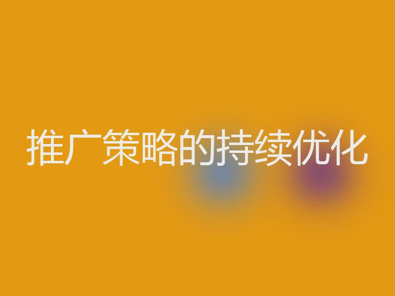 推广策略的持续优化