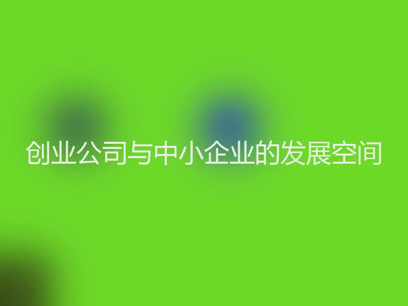 创业公司与中小企业的发展空间