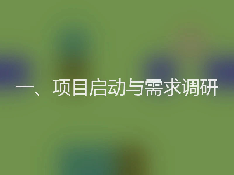 一、项目启动与需求调研