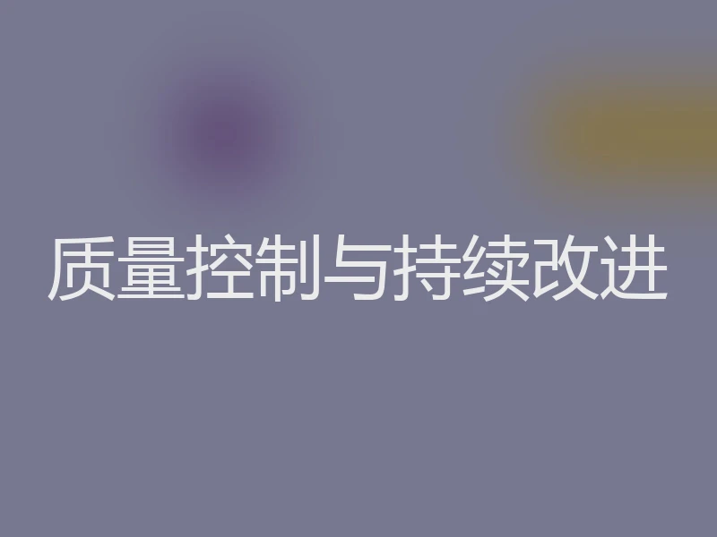 质量控制与持续改进