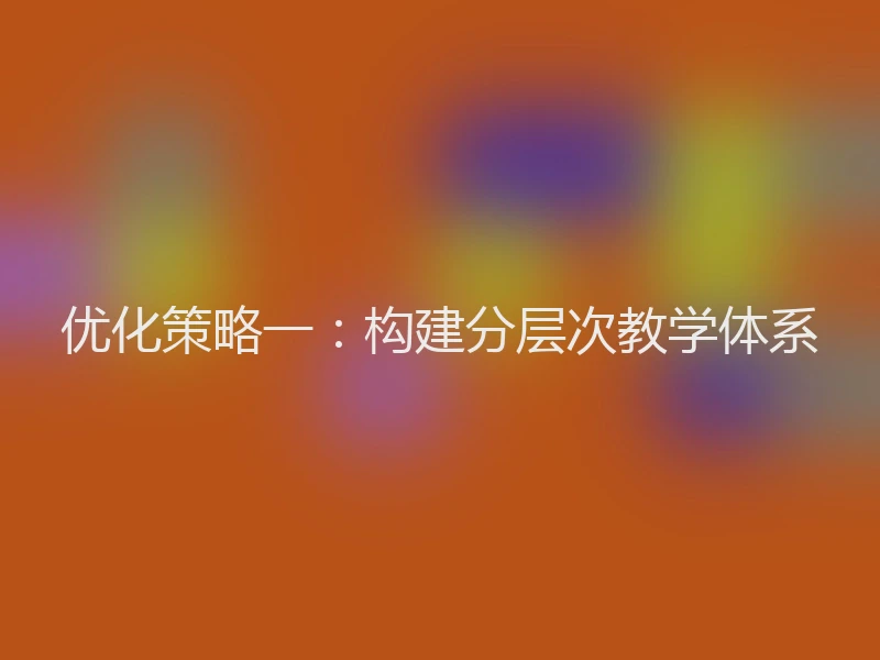 优化策略一：构建分层次教学体系