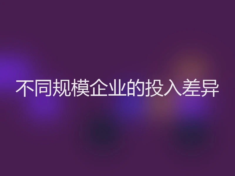 不同规模企业的投入差异