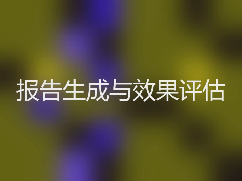 报告生成与效果评估