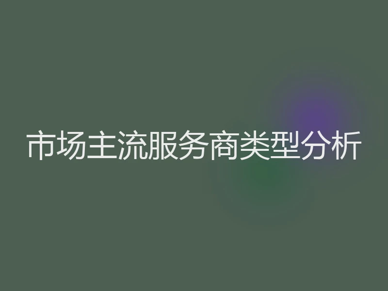 市场主流服务商类型分析