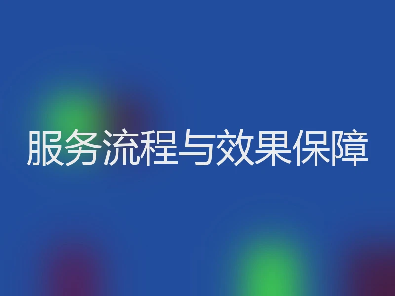 服务流程与效果保障