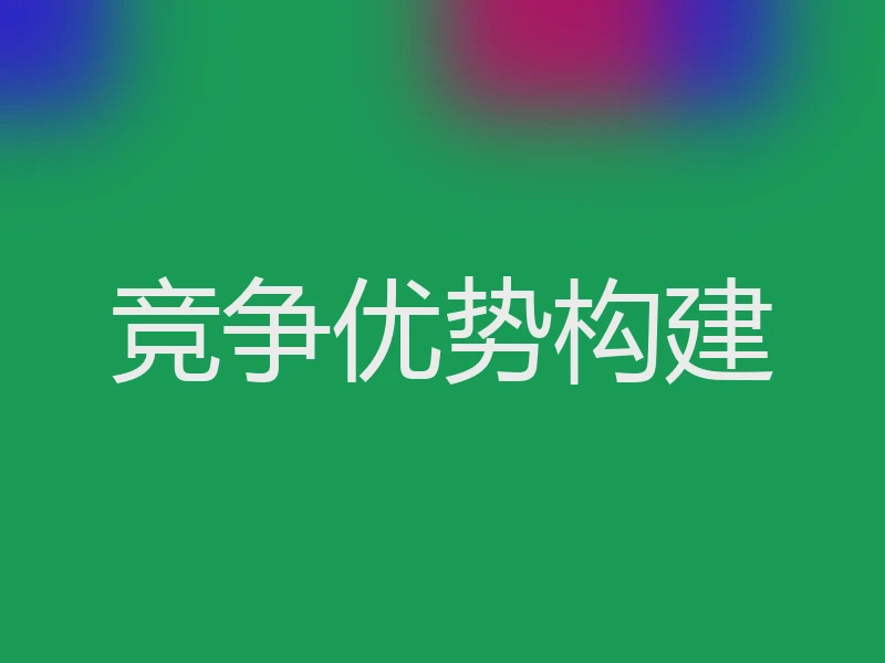 竞争优势构建