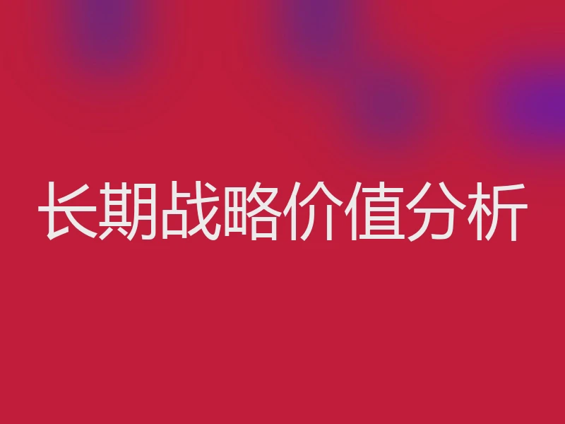 长期战略价值分析