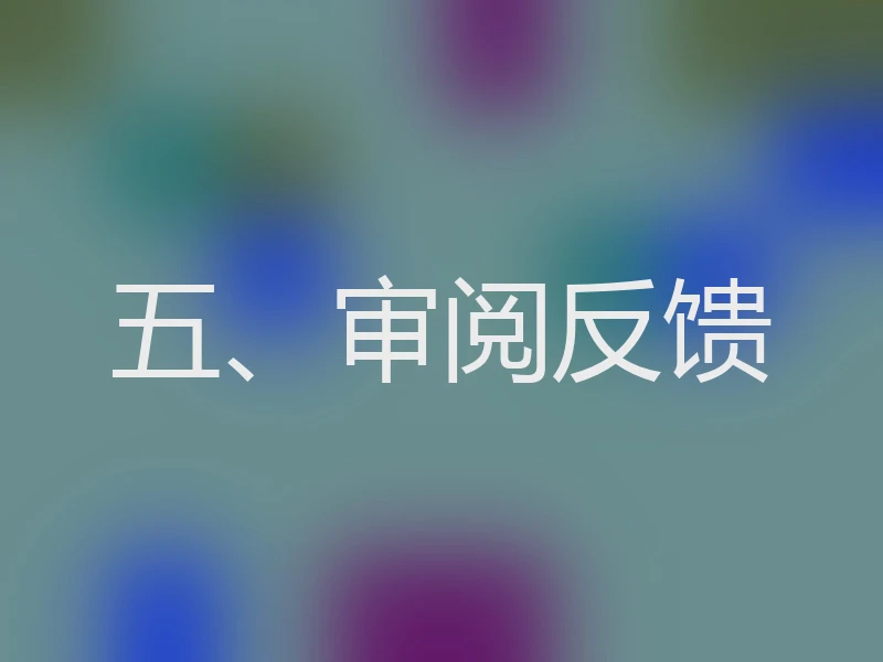 五、审阅反馈