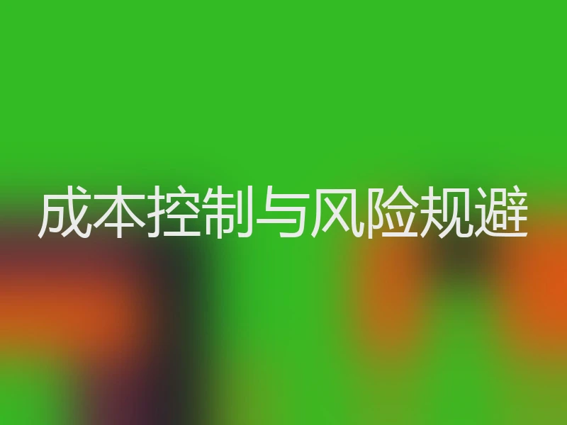 成本控制与风险规避