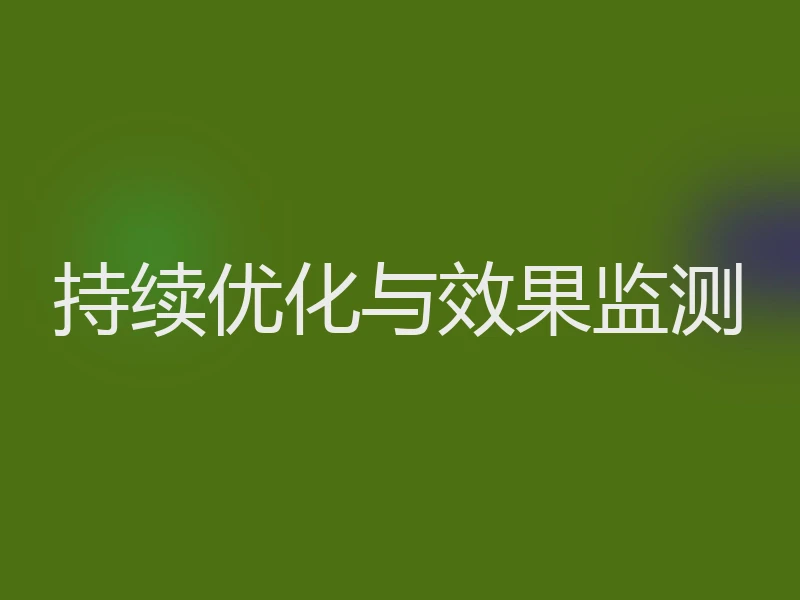 持续优化与效果监测
