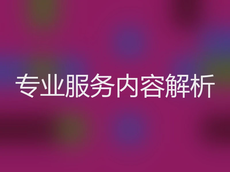 专业服务内容解析