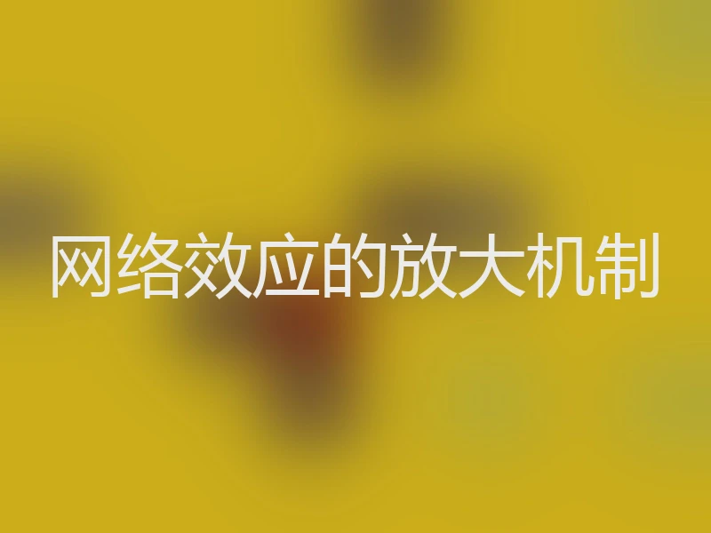 网络效应的放大机制