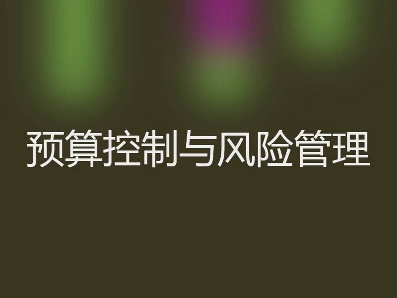 预算控制与风险管理