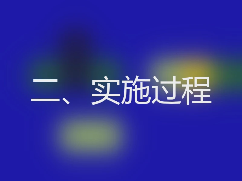 二、实施过程
