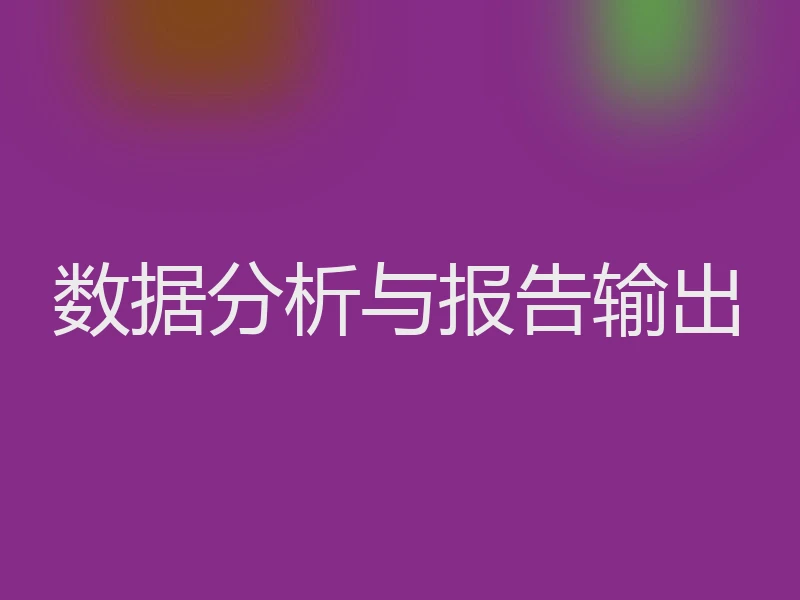 数据分析与报告输出