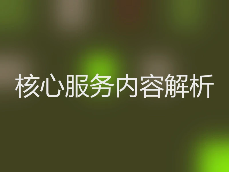 核心服务内容解析