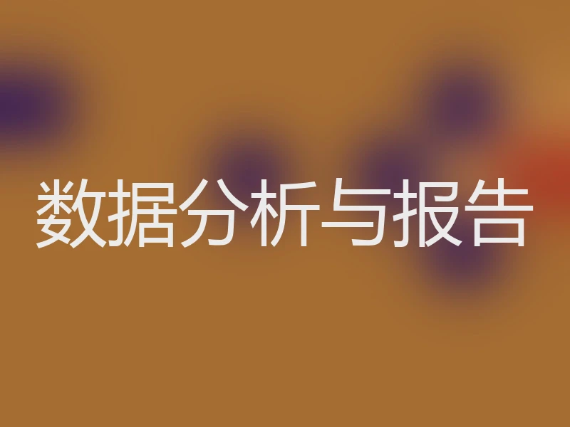 数据分析与报告