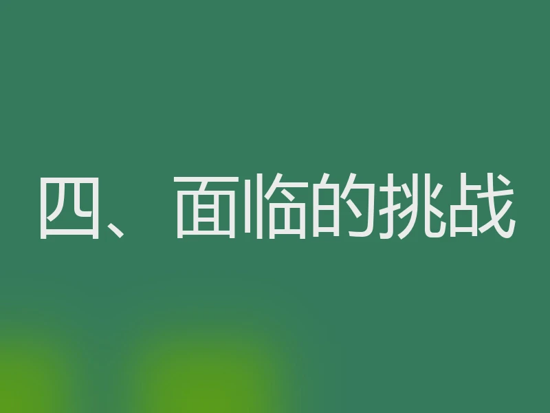 四、面临的挑战