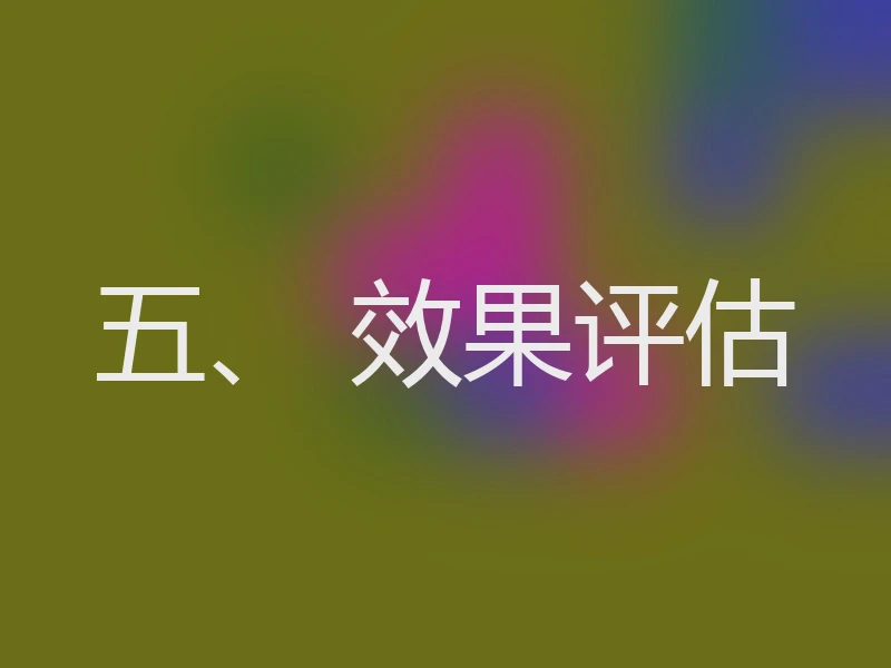 五、 效果评估