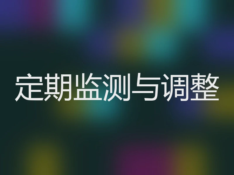 定期监测与调整