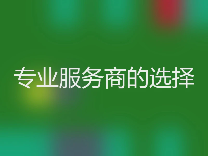 专业服务商的选择