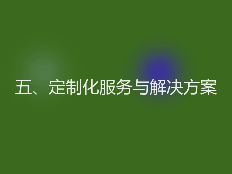 五、定制化服务与解决方案
