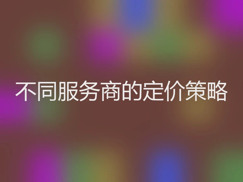 不同服务商的定价策略