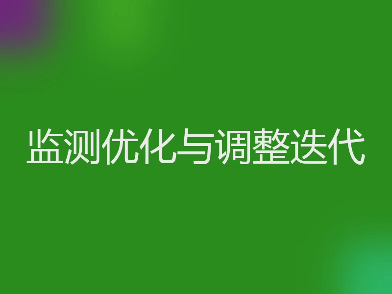 监测优化与调整迭代