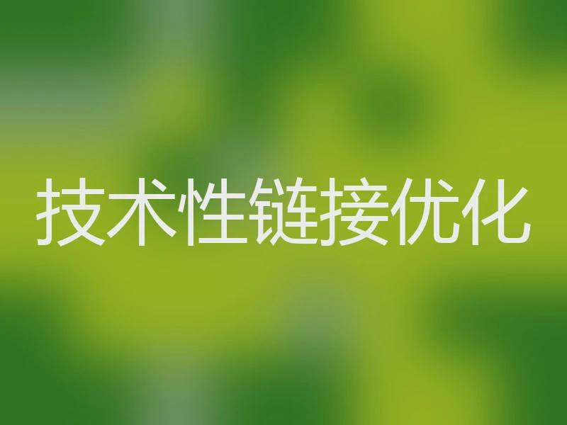 技术性链接优化
