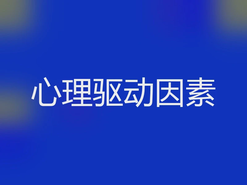 心理驱动因素