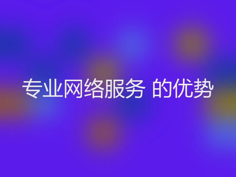 专业网络服务 的优势